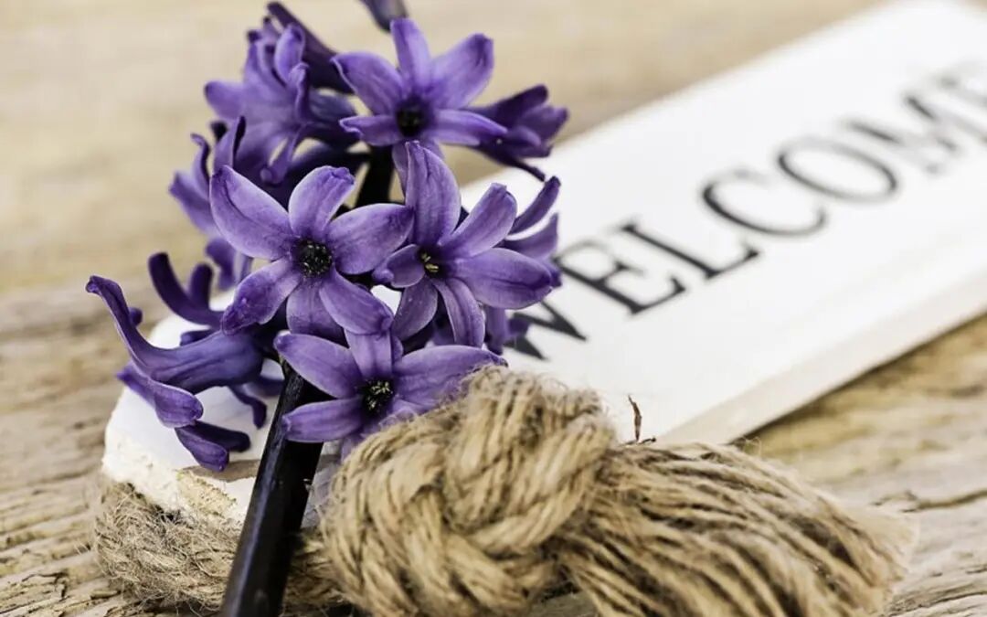 直播间如何建立人设_抖音网红主播八卦视频大全下载-_直播间故事分享技巧